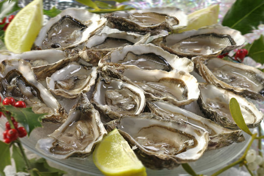 Coquillages -Assiette d'hu&icirc;tres