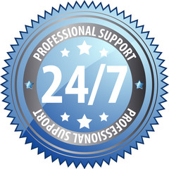 24/7 professional support