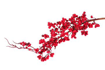 beautiful branch with red berries isolated on white - Powered by Adobe