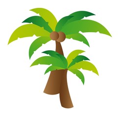 Fototapeta premium Palm tree vector