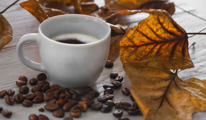 Tazzina di caffè con foglie secche e chicchi