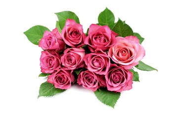 Rose bunch , isolated on white