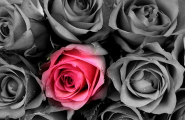 Panele Szklane Podświetlane  Róże kolorowe i czarno-białe
