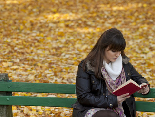 Fototapeta na wymiar Piękne młoda kobieta czyta książkę