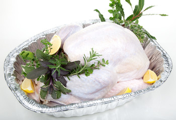 Raw turkey on white