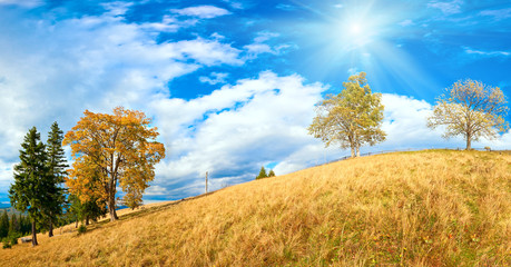Fototapeta premium Autumn in mountain