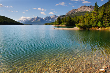 Summer in the Mountains