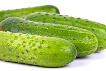 fresh cucumbers