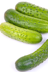 fresh cucumbers