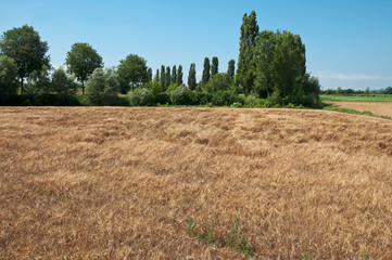 paesaggio 1776