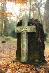 Friedhof 14