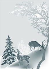 grey winter illustration with two deers