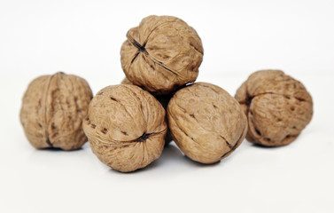 walnuss
