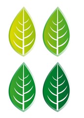 leaves vector