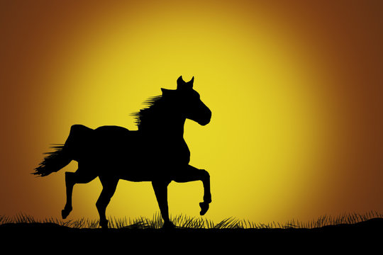 illustration of a horse running on grassland at the sunset