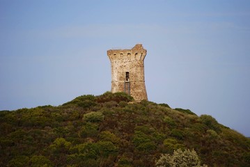 Une tour génoise