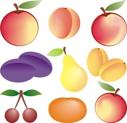 fruits vector set