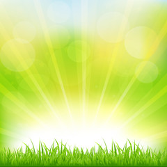 Fototapeta na wymiar Green Background With Green Grass And Sunburst