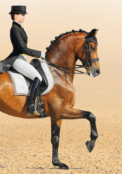 Equestrian sport - dressage, closeup