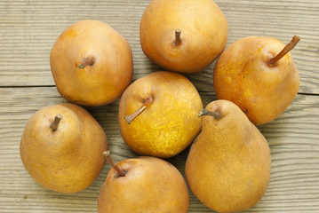 pears directly above