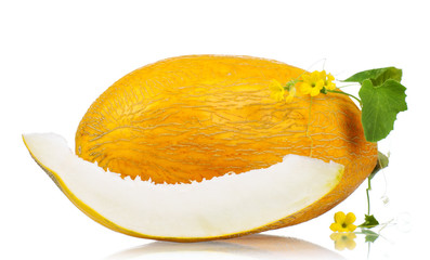 Cantaloupe melon