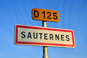 Fototapeta premium Sauternes