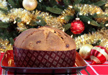 Whole Panettone in front of Christmas Tree