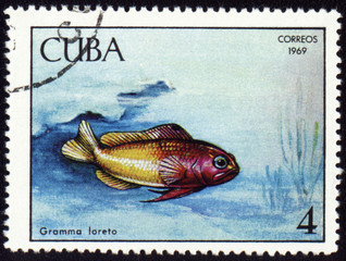 Fish Gramma loreto on post stamp