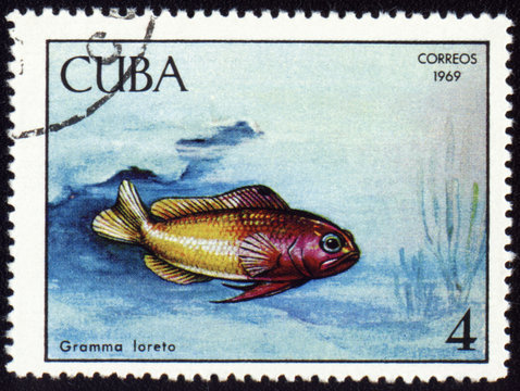 Fish Gramma Loreto On Post Stamp