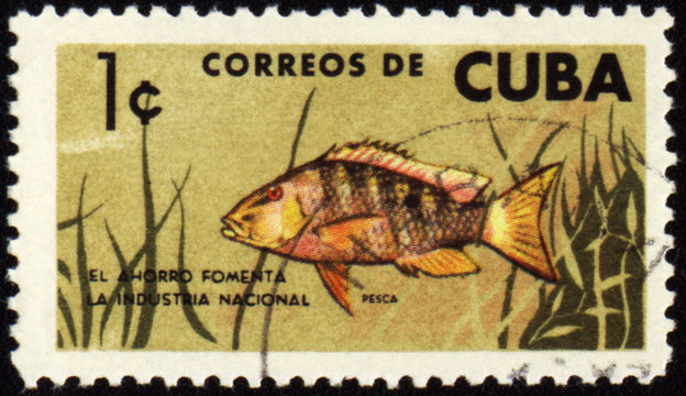 Fish on post stamp