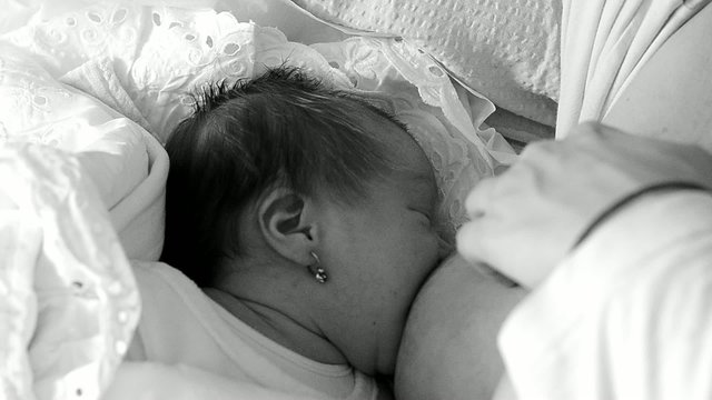 b&eacute;b&eacute; t&eacute;tant le sein de sa maman