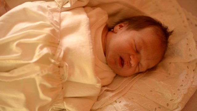 b&eacute;b&eacute; dormant
