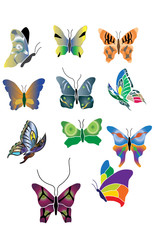 Set of flying  butterfly