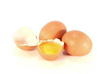 frische Eier