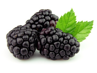 Blackberry in closeup