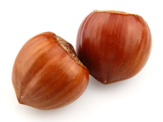 Obraz premium Dried filbert on a white background
