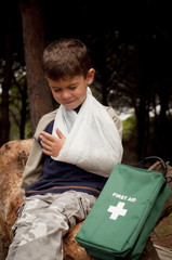 First Aid in the Forest - 36945084