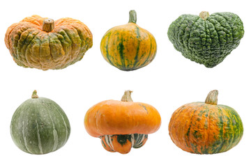 Colourful pumpkins isolated on white background.