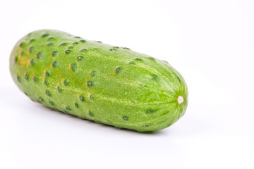 fresh cucumber