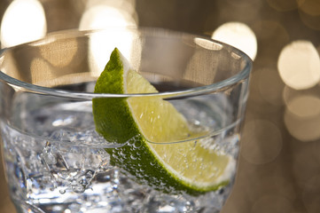 Gin Tonic Cocktail