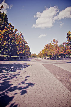 student life in US university