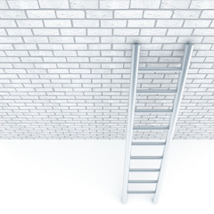 Metal ladder and a wall of white bricks