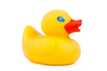 Toy rubber ducky