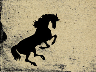 black horse on grunge background