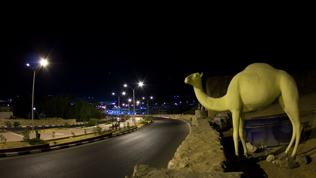 Night road with statue of a camel, time lapse.