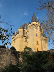 chateau St Léon Vézere