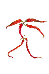 hot chilli character