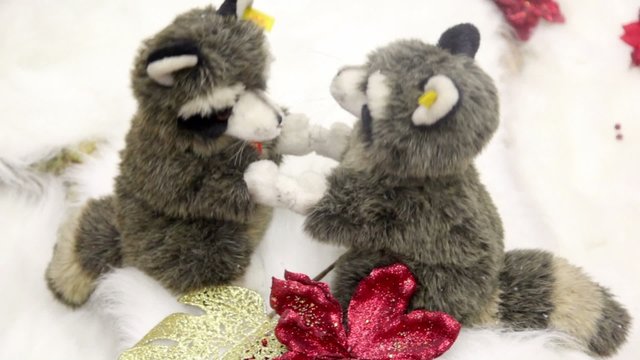 Pair of badger stand holding hands on artificial snow