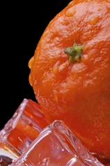 Plexiglas foto achterwand mandarijn ijs © tugolukof