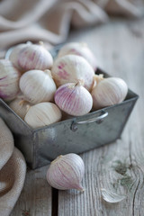 Fresh garlic